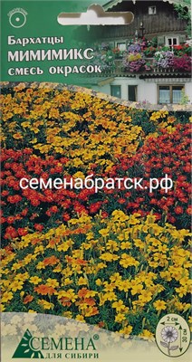 Цветы Бархатцы Мимимикс (СдС Красноярск) РТ-00003018 - фото 499813