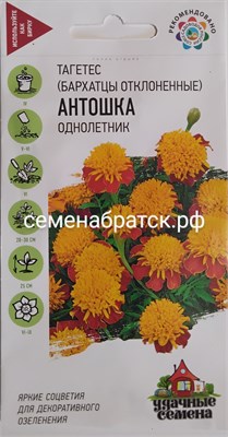 Цветы Бархатцы Антошка (Гавриш) К1-00000274 - фото 499839