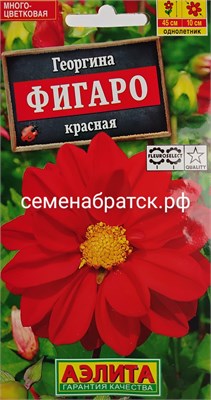 Цветы Георгина Фигаро красная (Аэлита) К1-00000889 - фото 499923