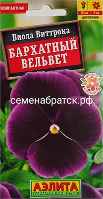 Цветы Виола Бархатный вельвет (Аэлита) РТ-00002836 - фото 499933