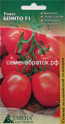 Томат Бенито F1 (СдС Красноярск) РТ-00005547 - фото 499971