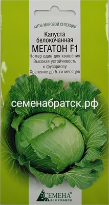 Капуста б/к Мегатон F1 (СдС Красноярск) РТ-00003424 - фото 500003