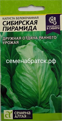 Капуста б/к Сибирская пирамида (Семена Алтая) РТ-00004821 - фото 500025