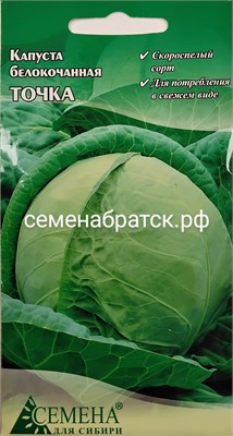 Капуста б/к Точка (Семена для Сибири) РТ-00002736 - фото 500031