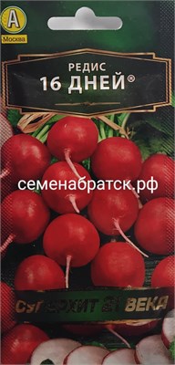 Редис 16 дней Суперхит 21 века (Аэлита) РТ-00005483 - фото 500121