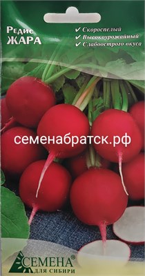 Редис Жара (СдС Красноярск) РТ-00001324 - фото 500133