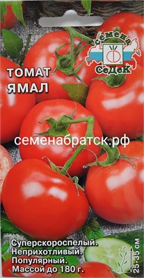 Томат Ямал 200 (Седек) РТ-00002950 - фото 500175