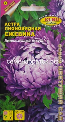 Цветы Астра Ежевика пионовид (Евро экстра) РТ-00005542 - фото 500215