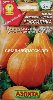 Тыква Россиянка (Аэлита) РТ-00002111 - фото 500285