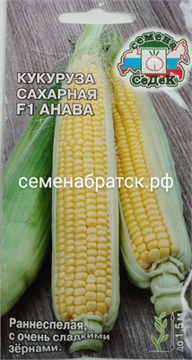 Кукуруза  Анава F1 (Аэлита) РТ-00003960 - фото 500295