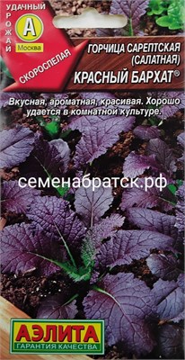 Горчица листовая Красный бархат (Аэлита) РТ-00005410 - фото 500347