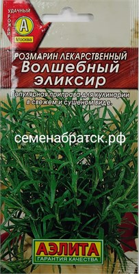 Розмарин Волшебный эликсир (Аэлита) СЦ-00000494 - фото 500363