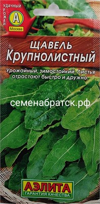 Щавель Крупнолистный (Аэлита) РТ-00002266 - фото 500369