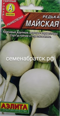 Редька Майская (белая) (Аэлита) РТ-00001818 - фото 500452