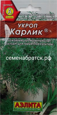 Укроп Карлик (Аэлита) РТ-00000401 - фото 500461