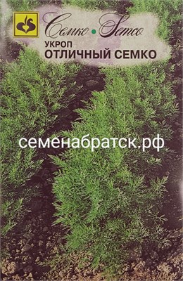 Укроп Отличный Семко (Семко) РТ-00005682 - фото 500468