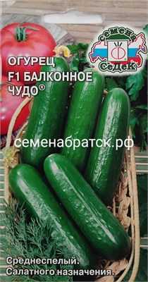 Огурец Балконное чудо F1 (Седек) 0,2гр РТ-00005325 - фото 500476