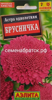 Цветы Астра Брусничка (Аэлита) ЯН-00000084 - фото 500544