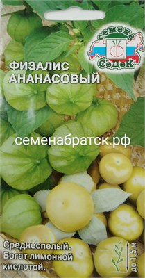 Физалис Ананасовый (Седек) РТ-00001134 - фото 500553