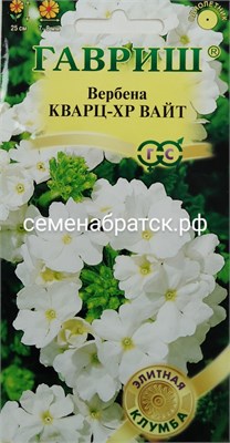 Цветы Вербена Кварц ХР Вайт (Гавриш) РТ-00005140 - фото 500555