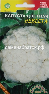 Капуста цветная Невеста (Цветущий Сад) РТ-00001079 - фото 500665