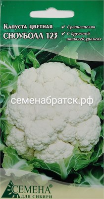 Капуста цветная Сноуболл 123 (СдС Красноярск) Я1-00000304 - фото 500667