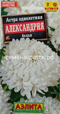 Цветы Астра Александрия Белая (Аэлита) 0,1 гр РТ-00005322 - фото 500685