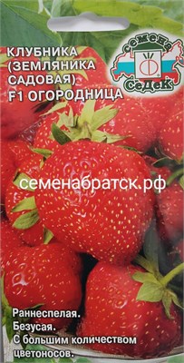 Земляника Огородница F1 (Седек) К1-00001497 - фото 500689