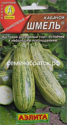 Кабачок-Цуккини Шмель (Аэлита) РТ-00001574 - фото 500736