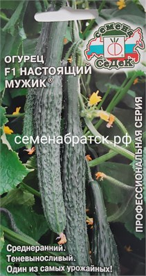 Огурец Настоящий мужик F1 (Седек) К1-00001297 - фото 500742