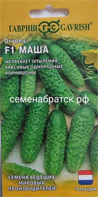 Огурец Маша F1 (Гавриш) РТ-00005706 - фото 500770