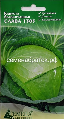 Капуста б/к Слава 1305 (Семена для Сибири) РТ-00001744 - фото 501128