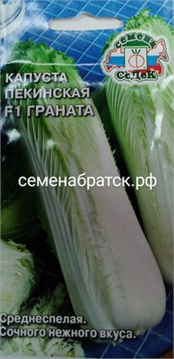 Капуста пекинская Граната F1 (Седек) К1-00001577 - фото 501135