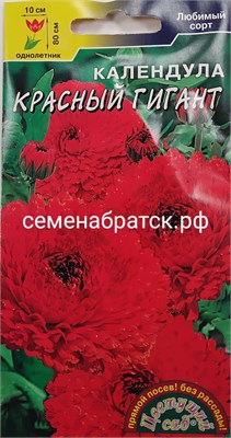 Цветы Календула Красный гигант (Цветущий сад) 130629 - фото 501203