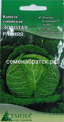 Капуста савойская Золотая ранняя (Семена для Сибири) РТ-00004509 - фото 501369