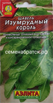 Щавель Изумрудный Король (Аэлита) РТ-00000360 - фото 655844