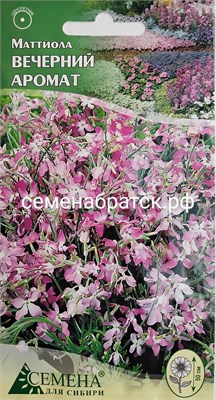 Цветы Маттиола Вечерний аромат (СдС Красноярск) РТ-00003883 - фото 655846
