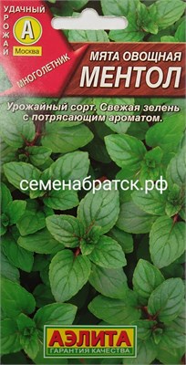 Мята Ментол (Аэлита) 151537 - фото 657947