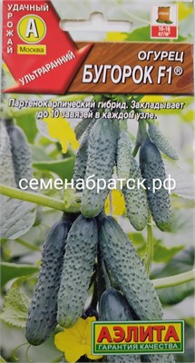Огурец Бугорок F1 (Аэлита) 147995 - фото 657953