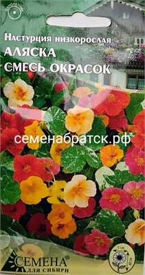 Цветы Настурция Аляска смесь (СдС Красноярск) Я1-00000057 - фото 682865