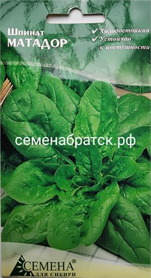 Шпинат Матадор (СдС Красноярск) РТ-00000385 - фото 682879