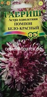 Цветы Астра Помпон бело-красный (Гавриш) РТ-00004455