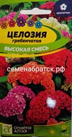 Цветы Целозия Высокорослая смесь (Семена алтая) Я1-00000563-2