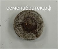 Таблетка торфяная ДЖИФФИ-3 Д33мм РТ-00001839