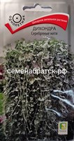 Цветы Дихондра Серебряные нити (Поиск) ЯН-00000624