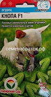 Огурец Кнопа F1 (Сибирский сад) К1-00001219