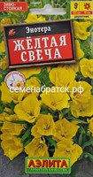 Цветы Энотера Желтая свеча (НК) К1-00001527