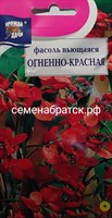 Цветы Фасоль Огненно красная (Урожай У дачи) К1-00001559