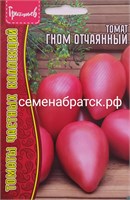 Томат Гном отчаянный (Редкие) РТ-00005630