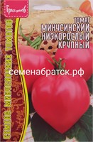 Томат Минусинский Низкорослый крупный (Редкие) РТ-00005546